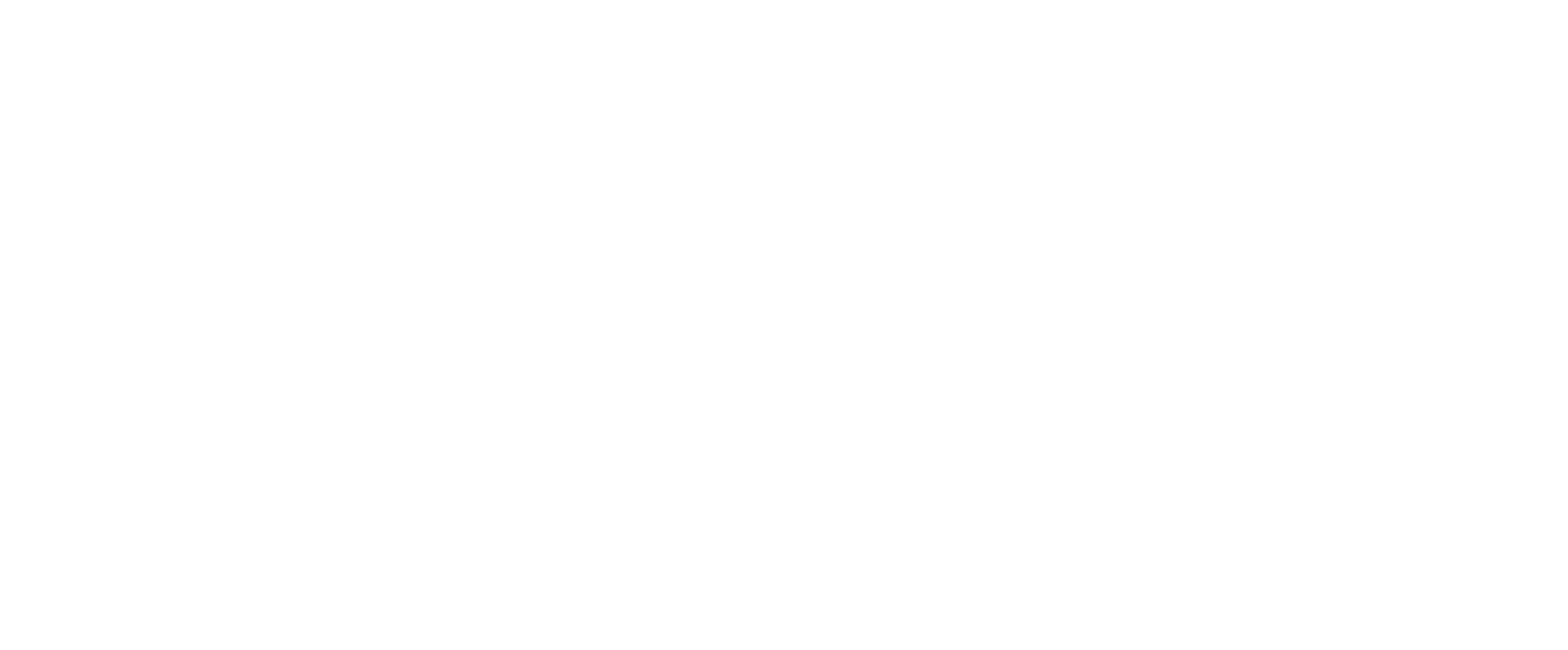 American Fencing Union